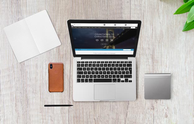 Theme Customization Services